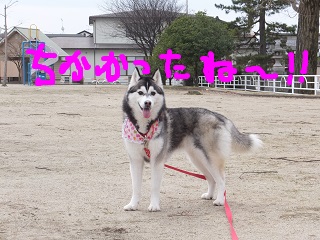 近かったね~