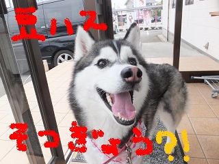 豆ハス卒業??