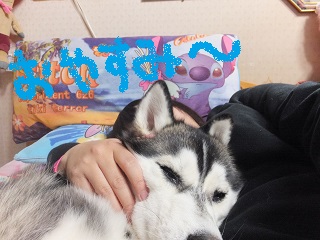 お休み~