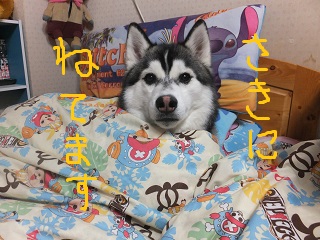 先に寝てます