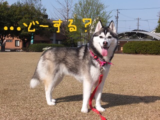 どーする??