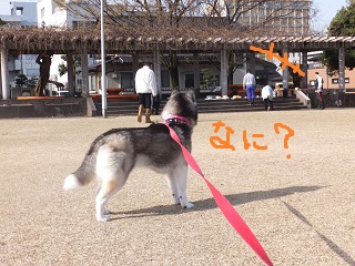 何?何かあるん?