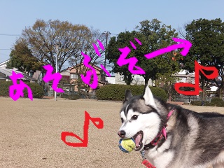 遊ぶぞーーー