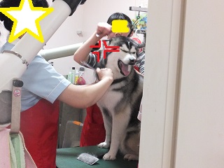 ギャー痛い!!