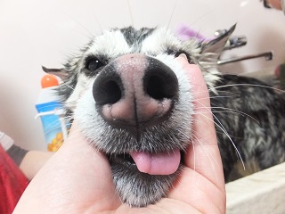 ぐふ・・・