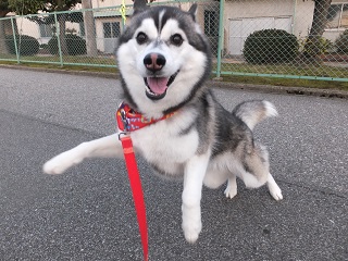 シュワッチ