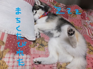 待ちくたびれた