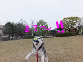 まて~!!