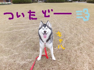 ついたどー