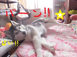 ふせ&バーン