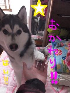 おかわり!!