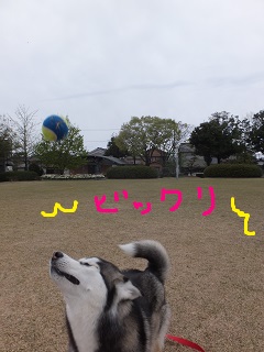 ビックリ!!
