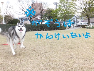 画像は関係ないよ