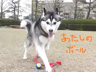 あたしのボール