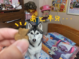 あと半分