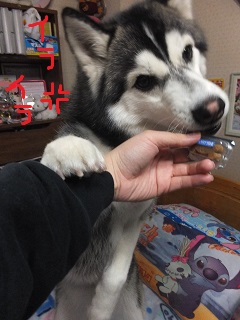 イライラ