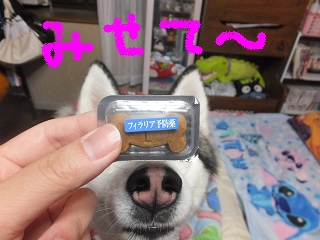 見せて~