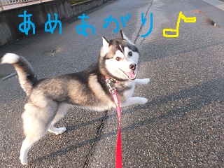雨上がり