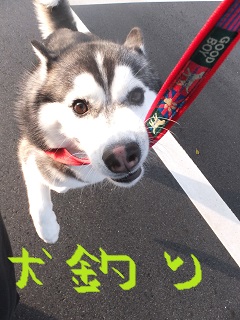 犬釣り