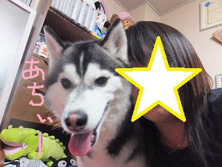 あちぃー