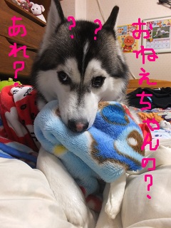 あれ?お姉ちゃんの?
