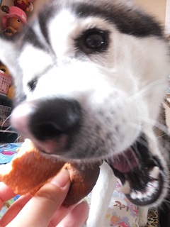 米粉パン食べる
