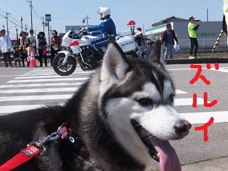 ズルい・・・