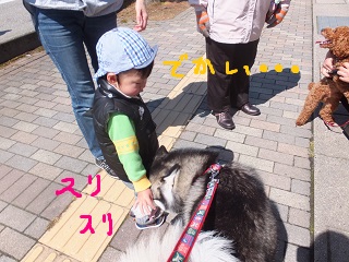 デカい・・・