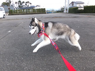 暇つぶし!走ろ!!