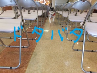 どたばた