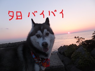 夕日バイバイ