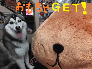 おもちゃGET