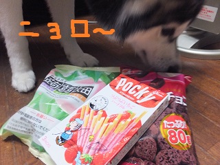 にょろー