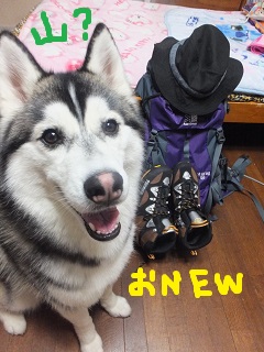 山行くの?