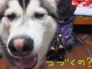 続くの?