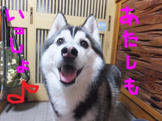 あたしも一緒