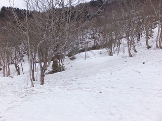 雪だらけ・・・