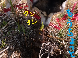 もうちょっと
