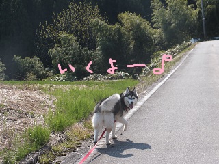 行くよー♪