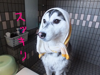 スッキリ!!