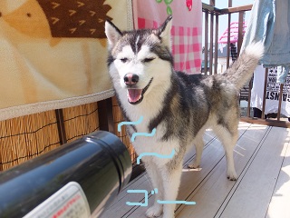 ドライヤー