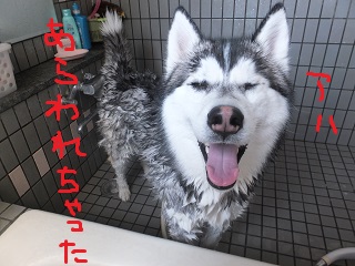 現れちゃった