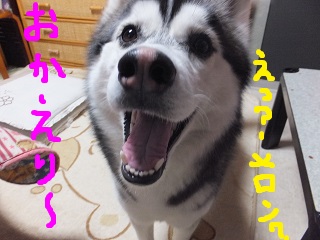 えっ?メロン?