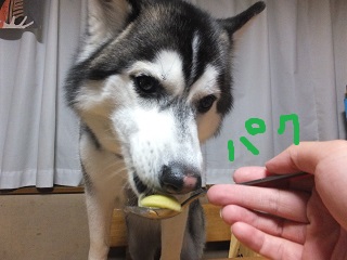 パクッ