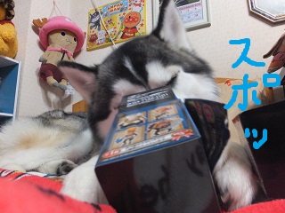 すぽっ