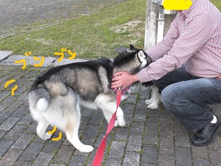 ぶんぶん