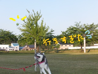 行き過ぎた