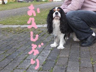 お久しぶり