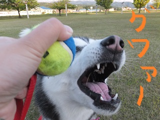 ぐわー