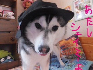 あたしシェイミーよ